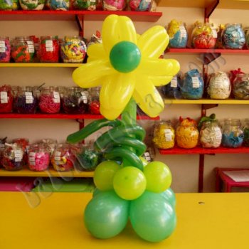 Rođendani - CVIJEĆE OD BALONA 5